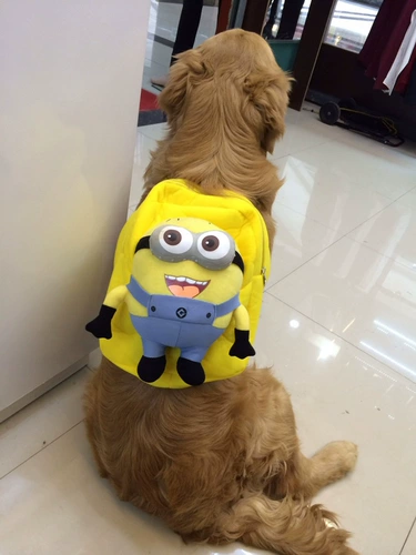 Рюкзак, портативный ранец для путешествий для выхода на улицу, подходит для подростков