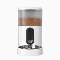 Ключевой базовый абзац du4l-ky