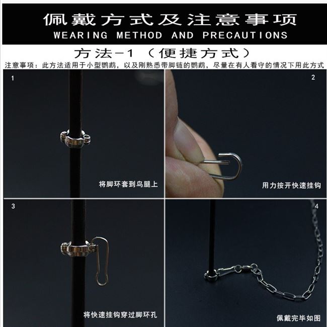 . Myna Anklet Rope Vận chuyển chuỗi chim bằng thép không gỉ Buộc chuỗi chim vẹt Vòng chân cổ chân chim vòng chân - Vòng chân