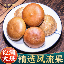 Guangxi Fengliuguo Chinese medicinal materials 500g new arrival Fengliuguo sold separately Double Kidney Yin and Yangzi