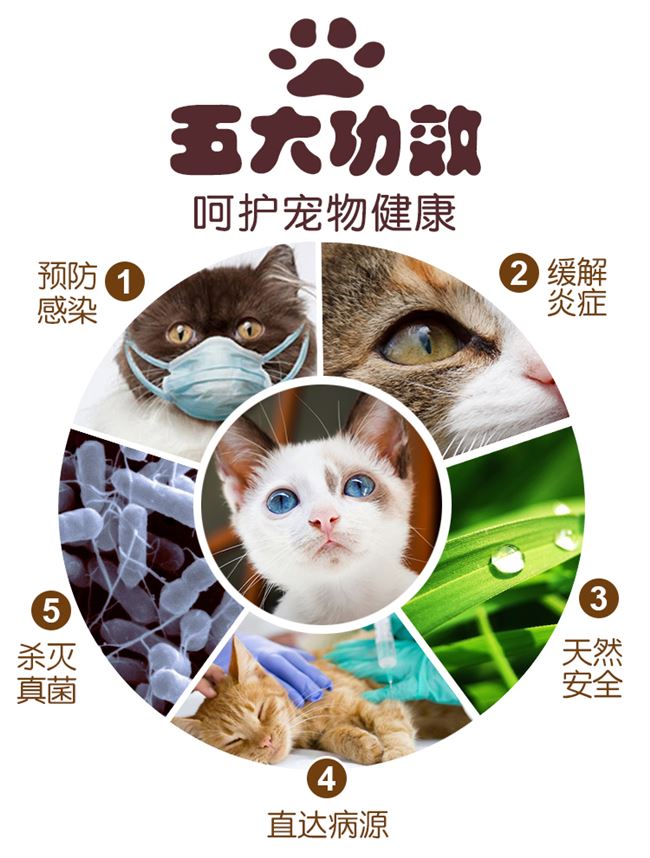 Thuốc tẩy vết rách cho chó, thuốc nhỏ mắt cho mèo, cho mèo cưng, thuốc nhỏ mắt, chống viêm mắt, đồ dùng cho Teddy, chống khuẩn tẩy phân mắt - Thuốc nhỏ mắt