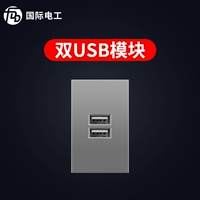 Двойной USB -модуль (один из них)