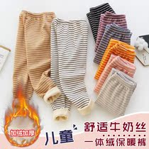 Boy School Uniform Divinity Warm Pants Primary School Kids Children CUHK Girl Pants Cotton Pants Integrated Suede Underpants Teen