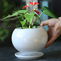 White large round ball flower pot ceramic clear cabin large size minimalist personality Home green Lorrater Dolo meat butterfly Lamb tray