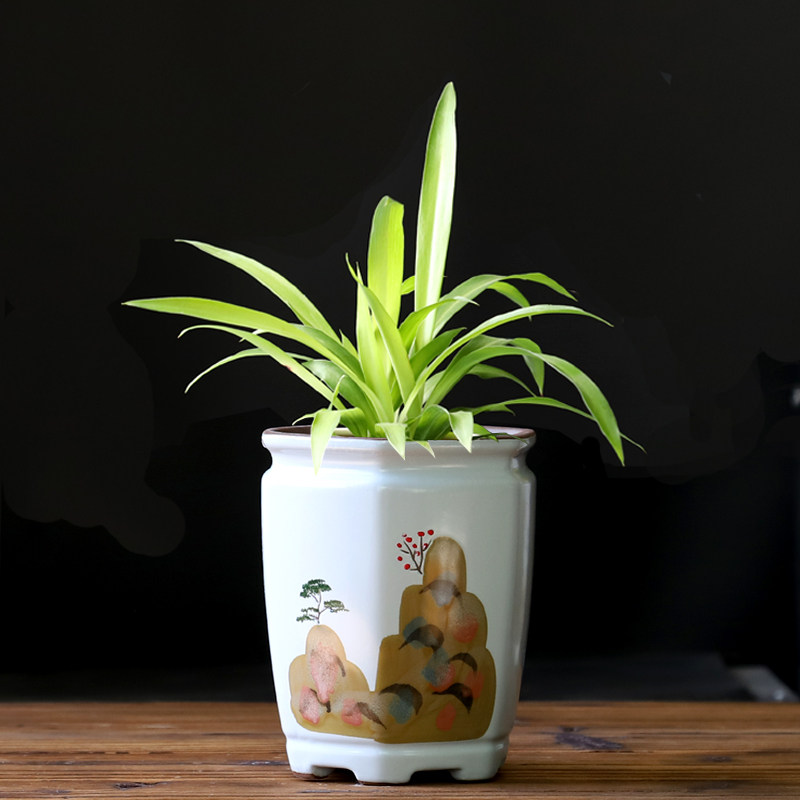 Hand-painted succulent flower pot ceramic specials clearance retro rough pottery breathable household small potted creative small pot