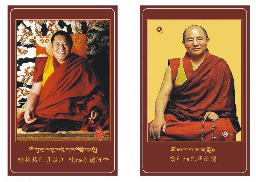 Faking Ruyi Bao Sodaji Kambu Protective Body Card Amulet PVC Card Double Face Card Little Donka