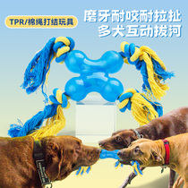 Dog Toy Knot Teeth Bite Resistant Puppy Teddy Alone To Relieve Boredom Toy Puppy Bite Training Pet Supplies