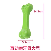 Большая молярная кость