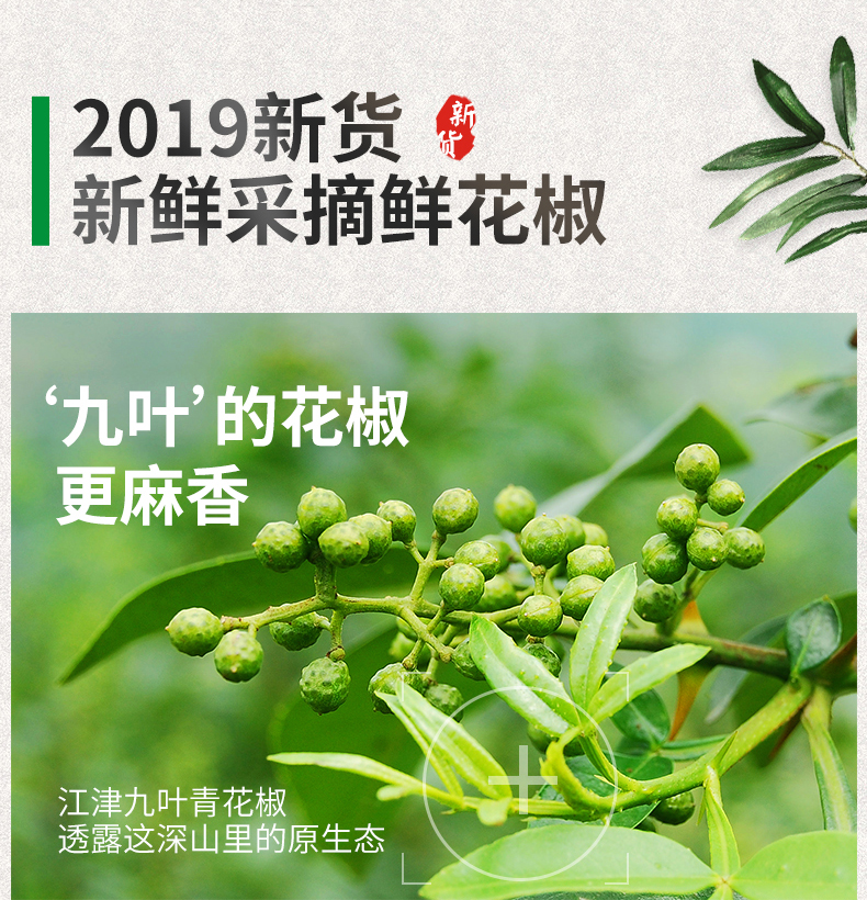 大唐神厨 江津九叶青鲜藤椒 2*350克 图3