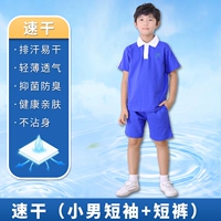 Быстросохнущая футболка, шорты