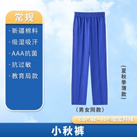 Маленькие осенние брюки (короткий стиль лета и осень)