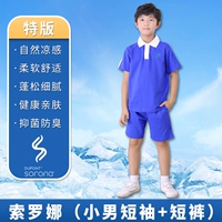 Футболка Sorona + шорты Sorona