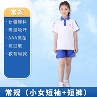 Маленькая девочка T -Fork+шорты