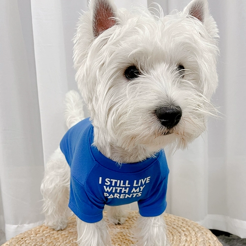 Собачья одежда кошка лето тонкая бикн лучше фанат летний щенок домашний домашний животный питомец Корки Тедди -кошка весна и осень осенью кошки