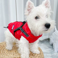 Китайская красная буква [3 анти -процедурное обновление отражения]