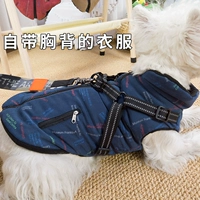 Starry Blue [Лучшее рефлексивное обновление спины]