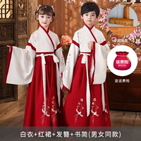 【Hot Sales Explosion】 K22166 Congusite