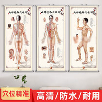 Acupuncture-Moxibustion Body Meridians Acupoints Acupoints Acupoints Disorders against Tuwall Wall Patch Traditional Chinese Medicine Health Preservation Large wall Meridian Plot