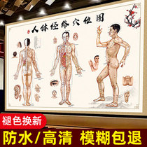 Chinese medicine moxibustion acupuncture body hole map human Meridian acupoint map large wall map meridian map HD home body