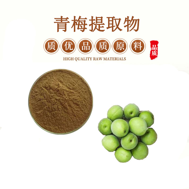 青梅提取物  高比例酸青梅子提取物果汁浓缩粉末