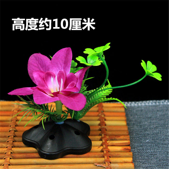 Feast dining plate decoration Yanocheng decoration plate cold dishes around the dish decorated with cook products decorated with chef