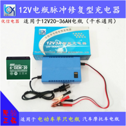 Youxin 12V battery charger locomotive intelligent electric sprayer 12V8A10A20A30A battery charging