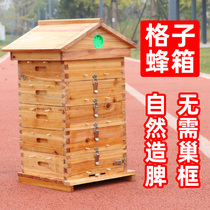 Long-Hebei Beehive Beehive Beehive Special Plaid Box Honeybee Hive Peak Box Beehive Beehive box