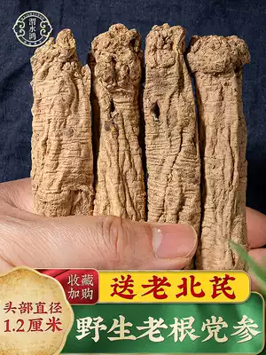 Gansu wild Dangshen 500g grams of premium wild Dangshen dried Chinese Herbal medicine Dangshen Danggui Beiqi Astragalus tablets