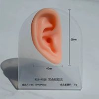 Силикон для ушей rs1-4038, модель с отделкой из пищевого силикона поставляется в случайных цветах