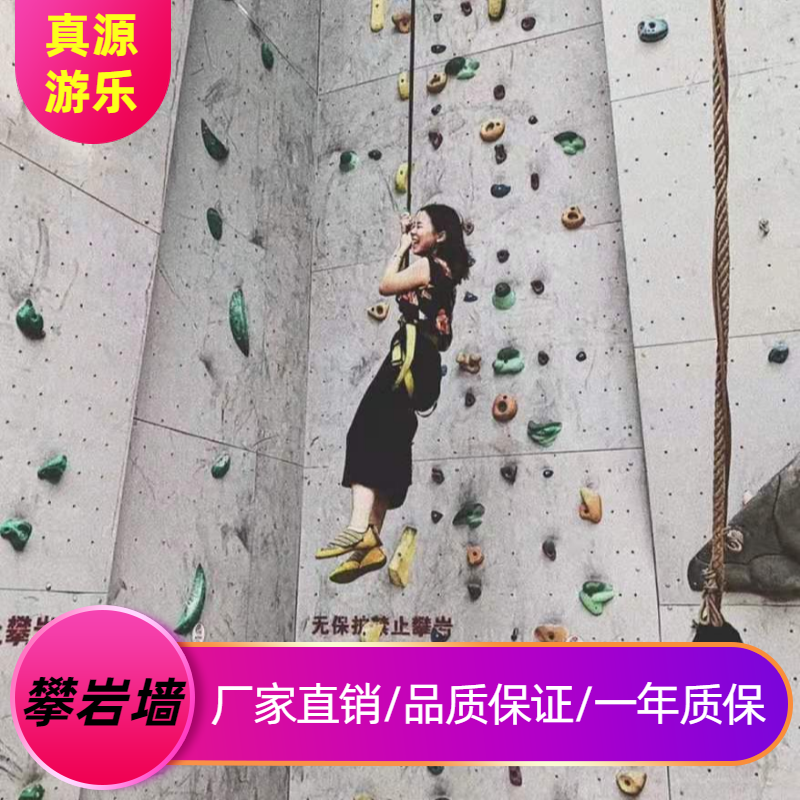 Adult youth physical fitness development training equipment rock climbing wall climbing board rock climbing rock point simulation rock climbing can be customized