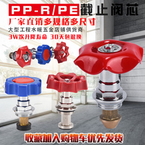 20ppr shut-off valve spool 25 water switch pe lift gate door 4 6 fen 32 40 50 63