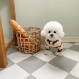 Собачья одежда Тедди плюшевый мишка Beme Bemek Sherry Sherry Sherry маленькие собачьи домашние животные Осень Новая холодная четверка