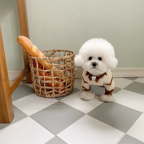 Собачья одежда Тедди плюшевый мишка Beme Bemek Sherry Sherry Sherry маленькие собачьи домашние животные Осень Новая холодная четверка