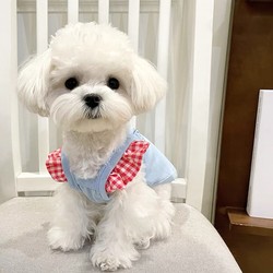 Pet Clothes for Dogs and Cats, Teddy, Poodle, Bichon, Schnauzer, Pomeranian, Small Dogs, Summer Thin Camisole Vest