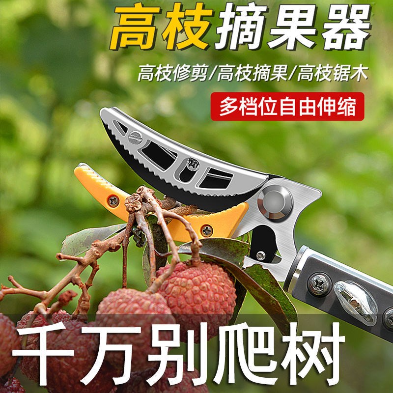Lichee Fruit Picture Trimming Fruit Cutting Tool High Chip Fruit Cutting Fruit Cutting Fruit