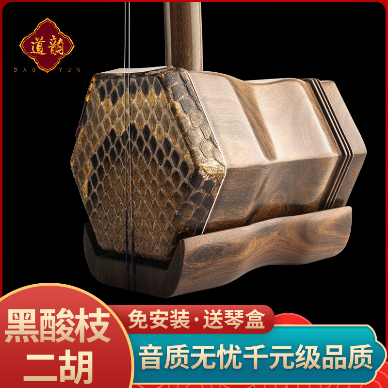 Tao Yun Xiahu Instrument Children's Beginners Adult Professional Inspection Examination Play Direct Sales of Qinsuzhou Twihu Factory