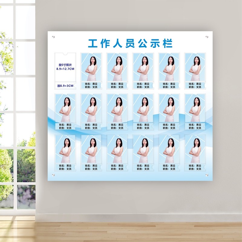 Staff Profile Post Licence Sheet Logo Wall Staff Wall Promotional Bar Display Bar Teacher Wind chart