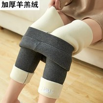 External wearing of underpants female fit clothing autummy winter plus suede integrated without mark high elastic high waist large size women pants fall new product