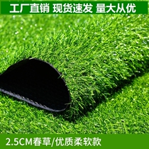 Artificial Paving Mats Outdoor Kindergarten Paving Fake Grass Simulation Lawn Football Field Carpet Fencing Turf Lawn