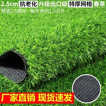 Lawn Plastic Turf Laid Cushion Subdecoration Fake Grass Fence Building Top Balcony Outdoor Artificial Paving Simulation Lawn
