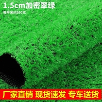 Football field turf Green building Top Balcony Paving Artificial Plastic Artificial Green Planting Fake Grass Kindergarten Carpet Lawn
