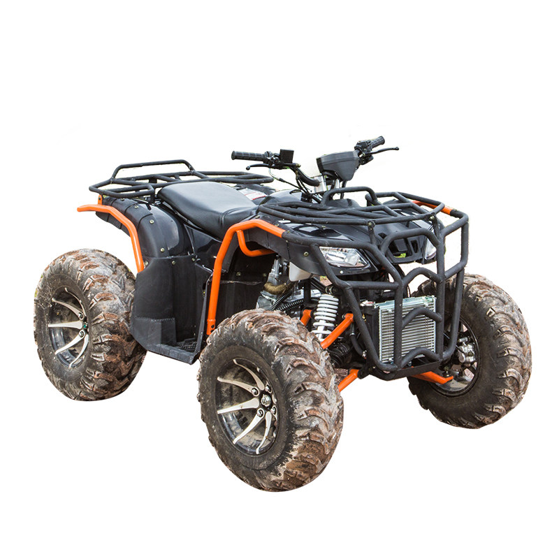 Квадроцикл comman 200. Бензиновый квадроцикл motax atv grizlik 200. Motoland allroad 200. Самый бюджетный квадроцикл. Квадроцикл бензиновый motax atv grizlik 200 lux с лебедкой.