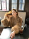 Environmentally friendly imitation fur long-sleeved khaki coat for women winter atmospheric casual cardigan loose warm temperament top