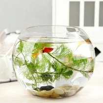 Glass fish tank round special viewing tank entrance hall fish tank porch home company goldfish glass tank