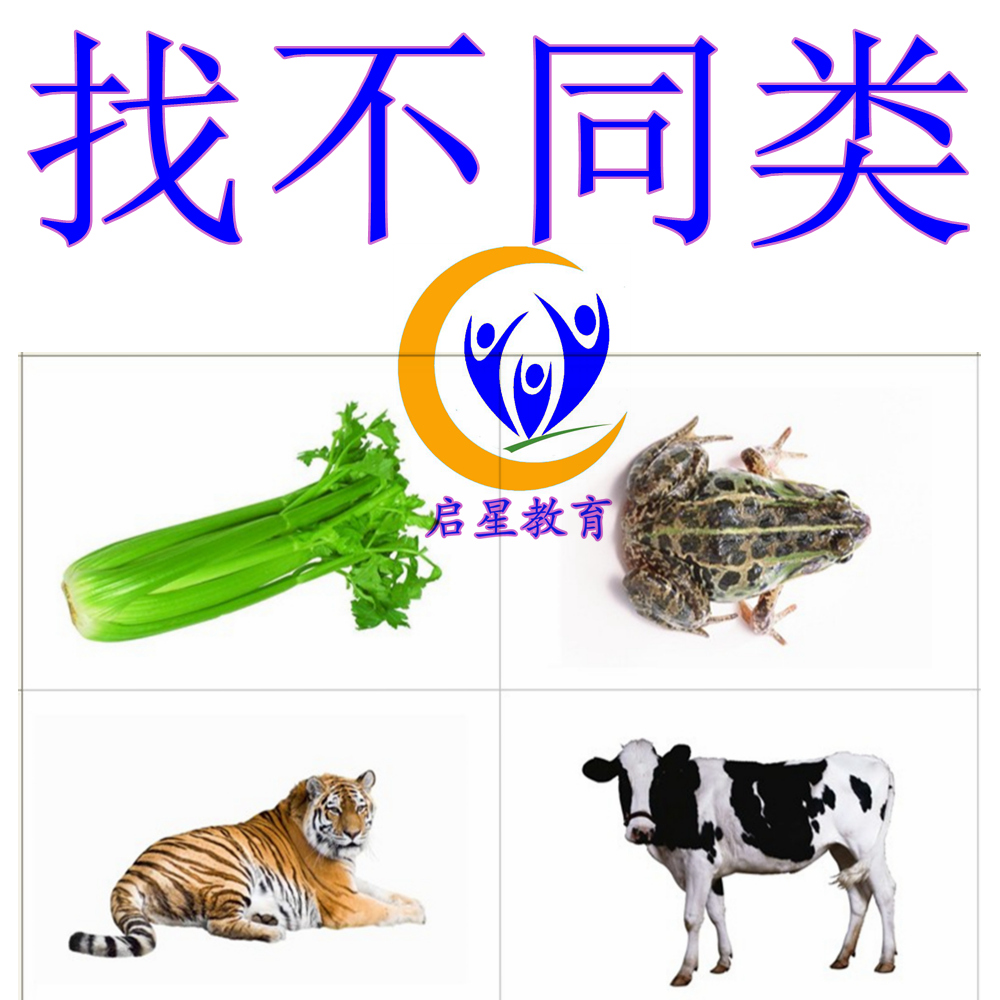 Find different categories of autism autism ABA language training teaching aids cards