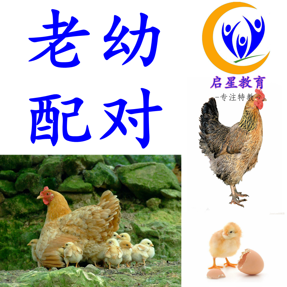 Animals Old and young pairing lone autism Autism Training Card Language Developmental Delays Children Rehabilitation Aids-Taobao