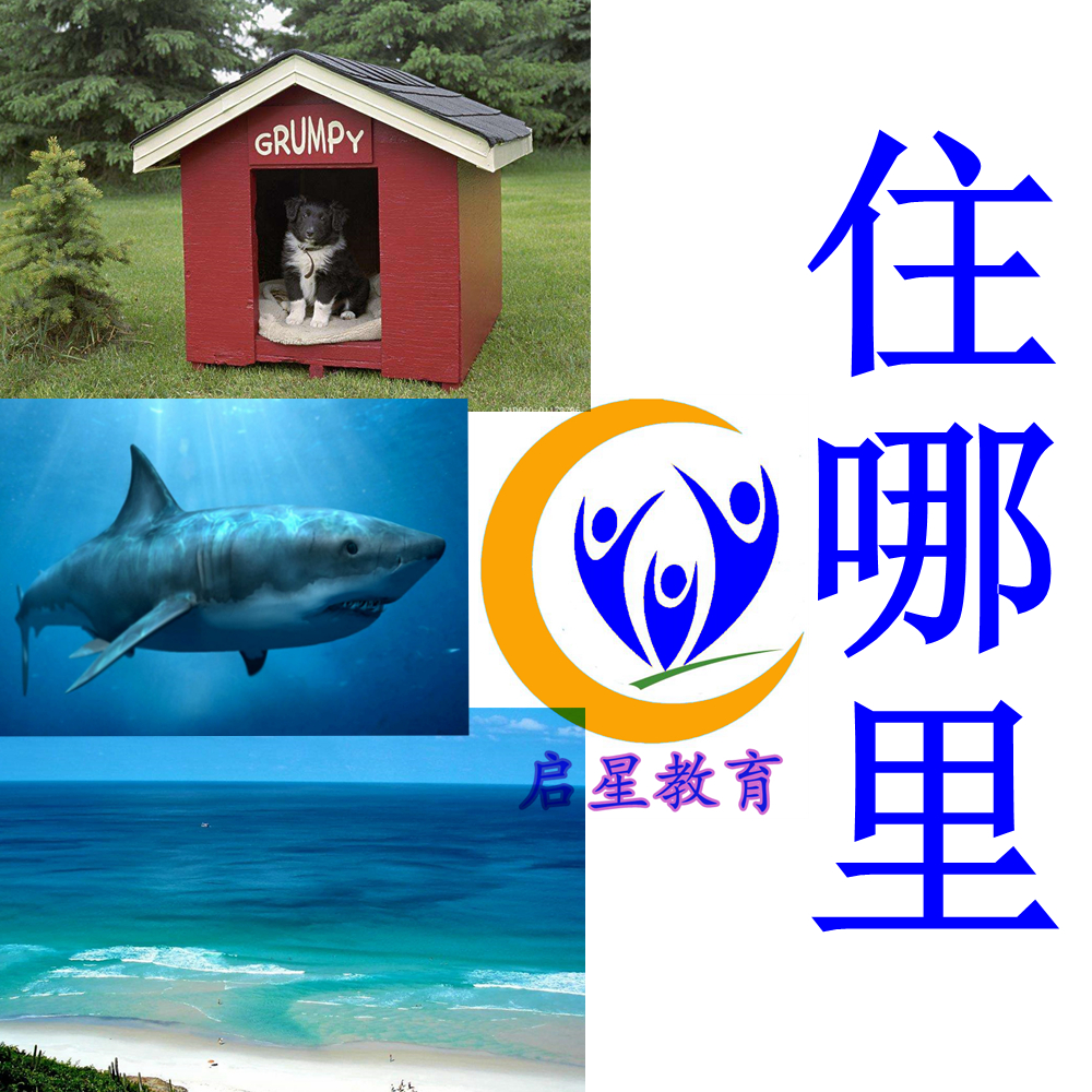 Where to live Matching autism Autism ABA children speech delay rehabilitation training card Training teaching aids