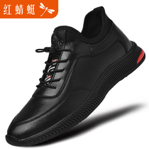 Red Dragonfly Mens Shoes Summer Travel Shoes Sport Leather Shoes Leather Face Casual Shoes Leather Shoes Man Black Brands Shoes