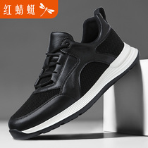 Red Dragonfly Mens Shoes Summer Travel Shoes Mens Light Breathable Nameplate Sports Casual Shoes 100 Hitch Deodorant Tennis Shoes Brands