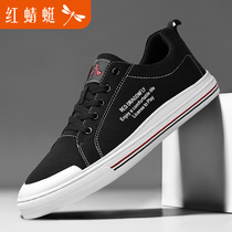Red Dragonfly Mens Shoes Sails Cloth Shoes Mens Cloth Shoes Breathable Korean Version 100 Hitch Casual Board Shoes Youth Students Summer Flat Shoes